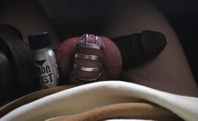 Snug As A Bug