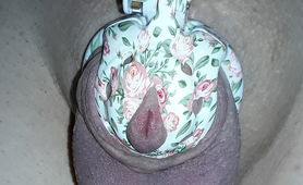 Swollen Clitty