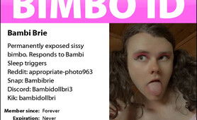Bambi Bries Sissy ID