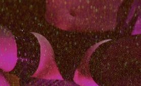 Sissy Popper Daydream