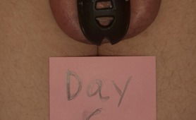 Day 6 Out Of 6