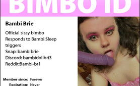 Bambis Sissy ID