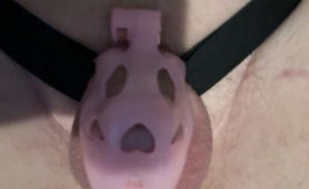 My Caged Clitty