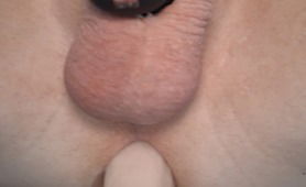 Sissy Training