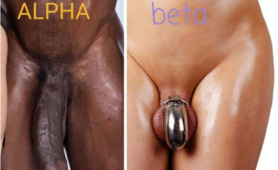 Alpha Beta
