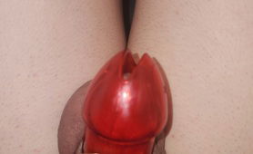Trying Out My 2nd Chastity Cage