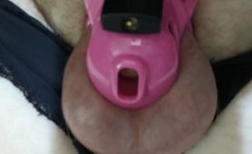 My Locked Sissy Clit