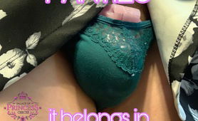 If It Fits It Belongs