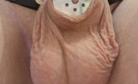 7 days - Description