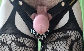 BNWO Sissy
