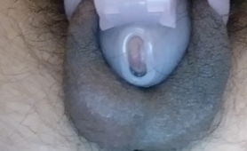 My Clit In The Nub