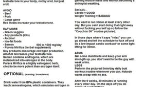 Kleopatrica Document 2