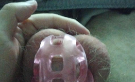 My First Cage
