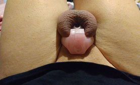 Pink Chastity - Nub