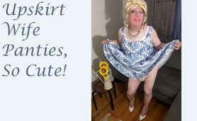 Sissy Husband Joys