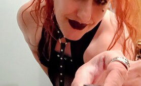 Sniff With Me