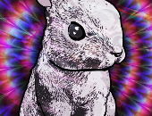 HypnoBunny69