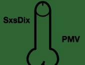 SxsDix