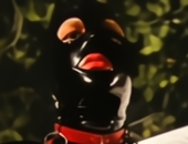 Smorgybear