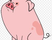 Piggles