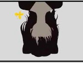 Mtq013