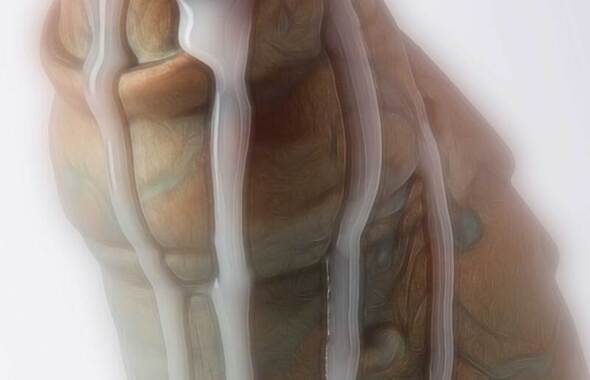 thumb