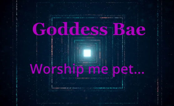 Worship Me Pet