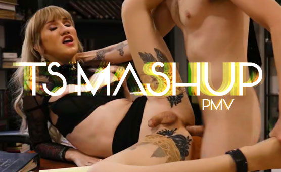 TS Mashup - PMV