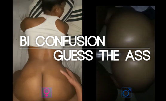 Bi Confusion - Guess The Ass