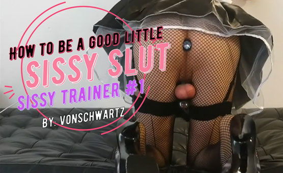 Sissy Trainer 1 - By VonSchwartz