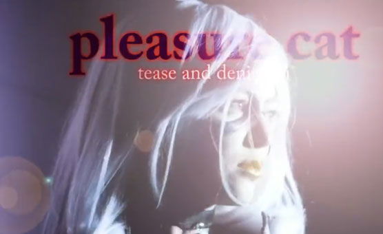 Pleasure Cat JOI HD - Numberonefan