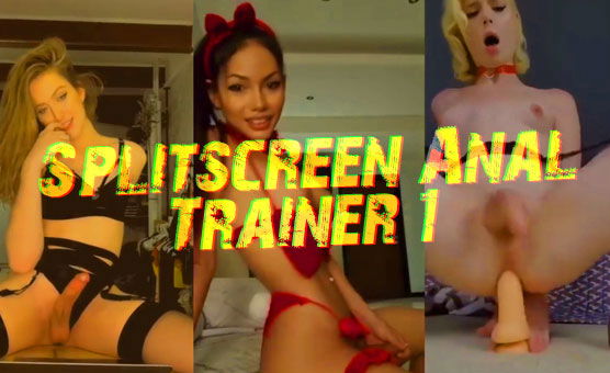 Splitscreen Anal Trainer 1 - By Dildoslut