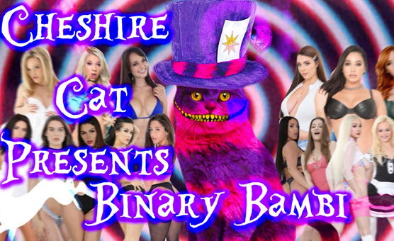 Shatterbrain VI - Binary Bambi