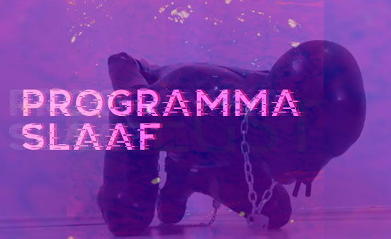 Programma Slaaf