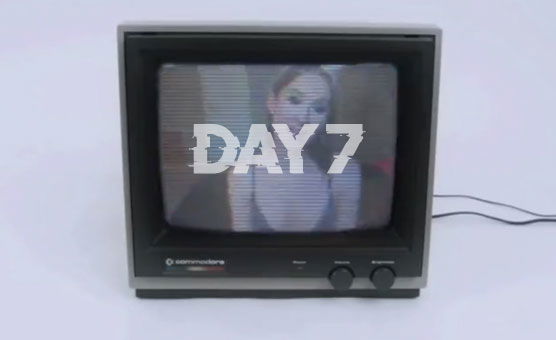 Day 7