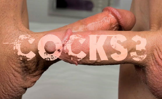 Cocks 3
