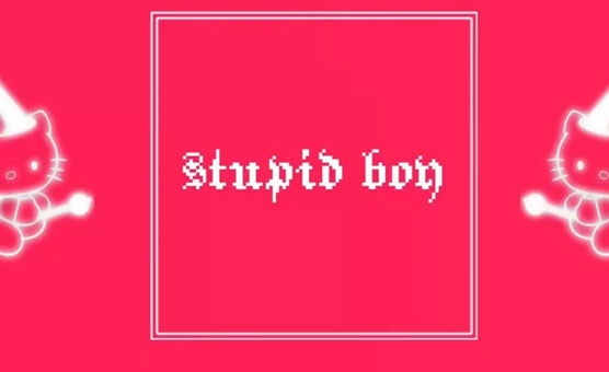 Stupid Boy