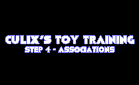 Culix's Toy Training - Step 4 - Associations