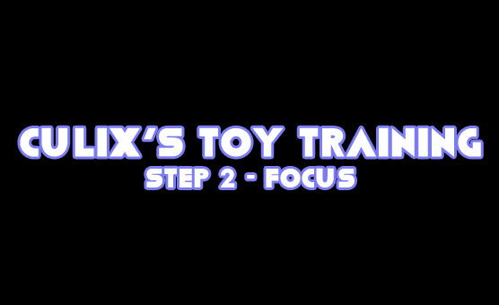 Culix's Toy Training - Step 2 - Focus