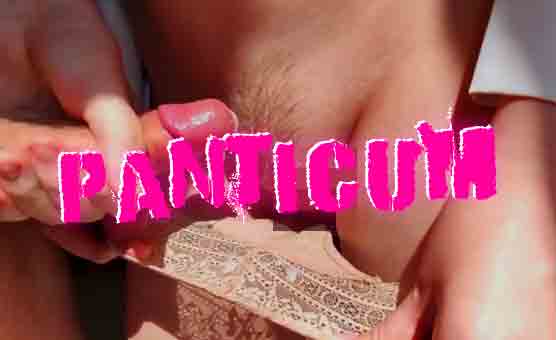 Panticum