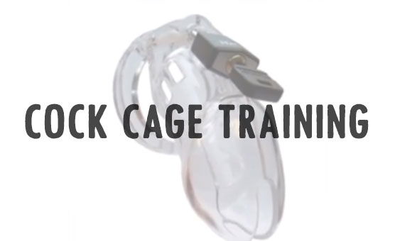 Cock Cage Training