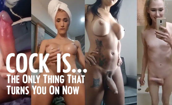 Cock Is The Only Thing That Turns You On Now