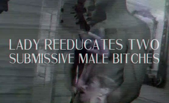 Lady Reeducates Two Submissive Male Bitches