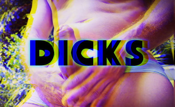 Dicks