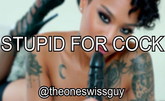 Stupid For Cock - A Sloppy Deepthroat PMV