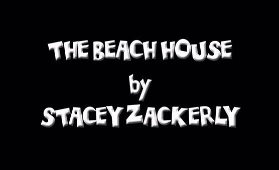 The Beach House By Stacey Zackerly