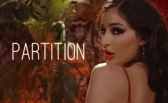 Partition - PMV