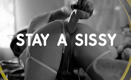 Stay A Sissy