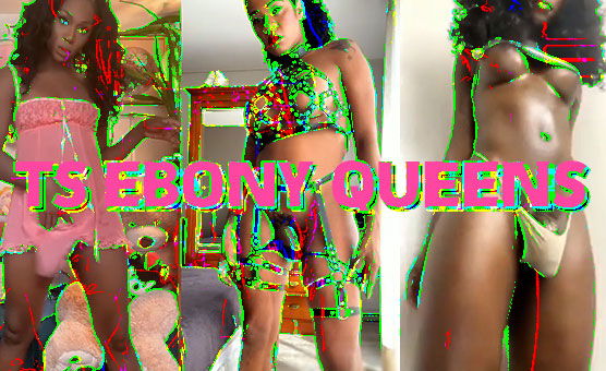 TS Ebony Queens PMV