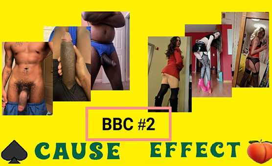 BBC Cause Effect 2